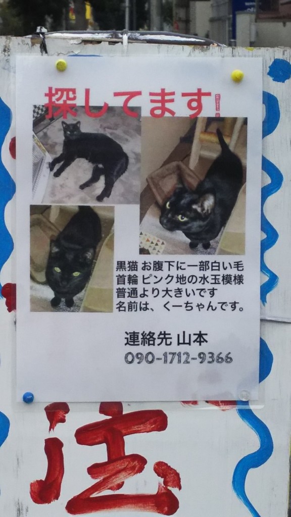 迷い猫 くーちゃん ポスター