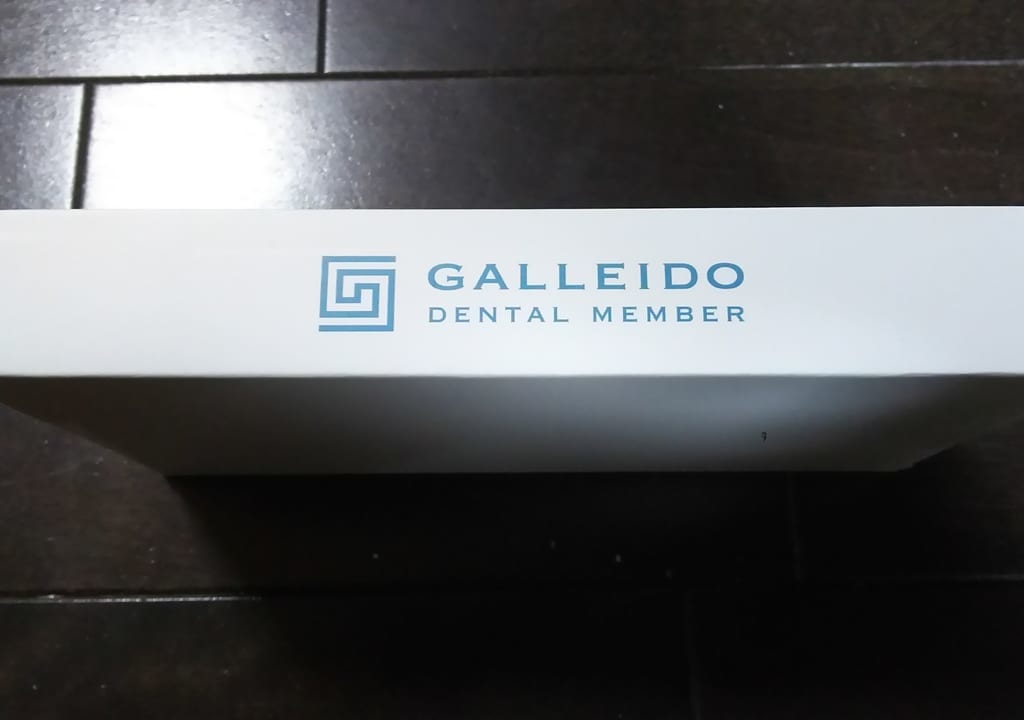 GALLEIDO DENTAL MEMBER　ガレイド　デンタル　メンバー