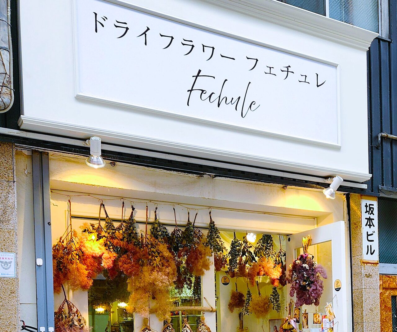 大阪市淀川区】十三もといまロード商店街の8月新店『ドライフラワー